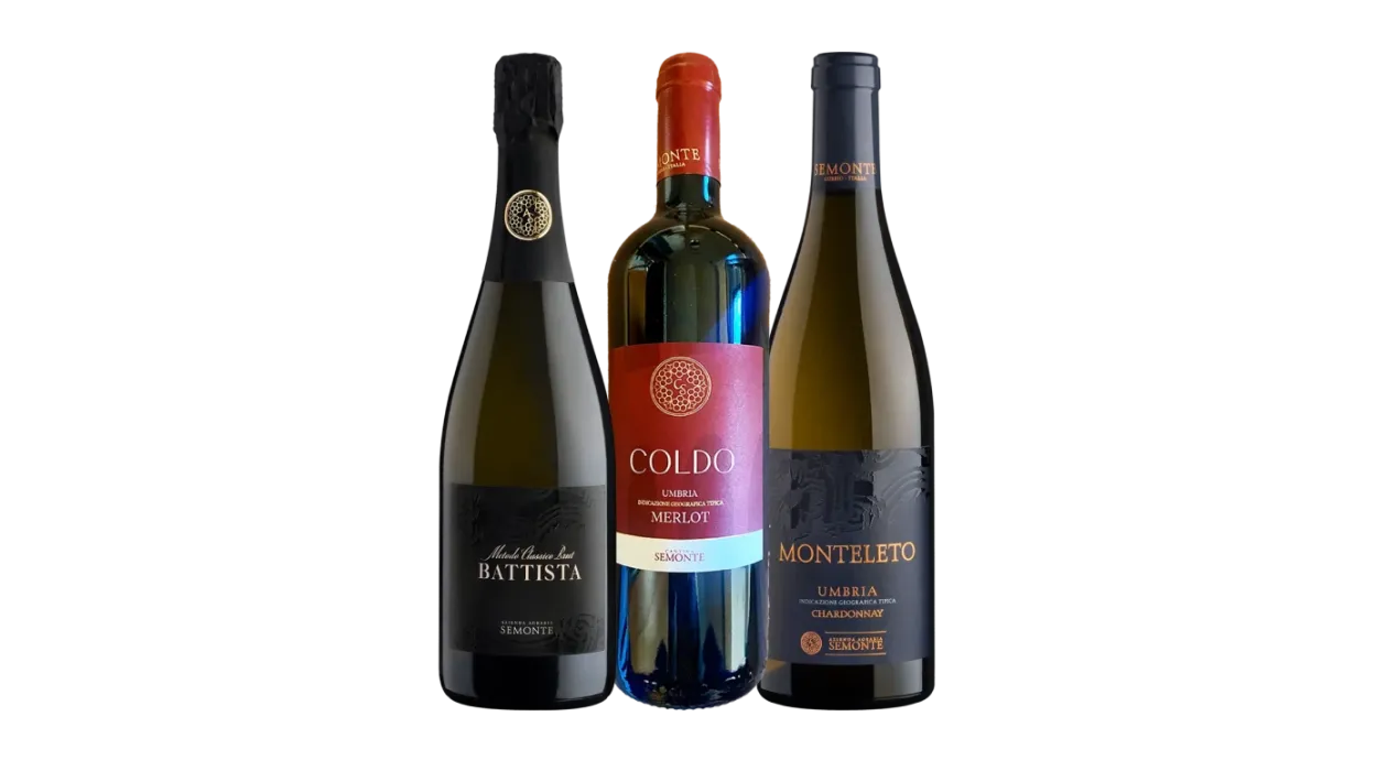 Vinæske med 3 flasker Coldo 