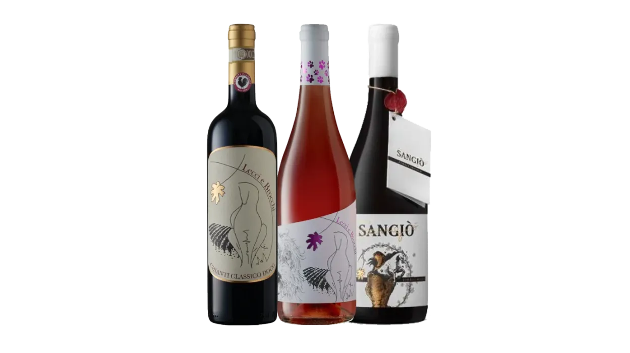 Vinæske med 3 flasker Lecci e Brocchi