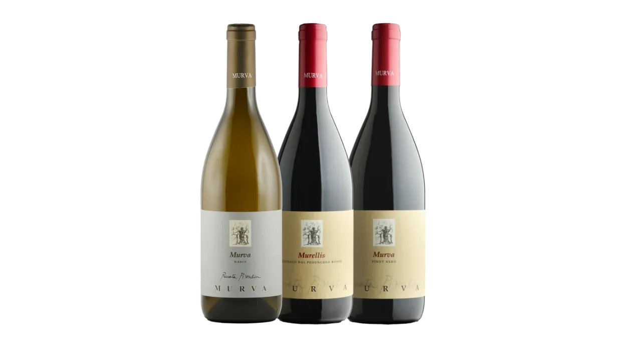 Confezione da tre bottiglie “Non solo bianchi!”