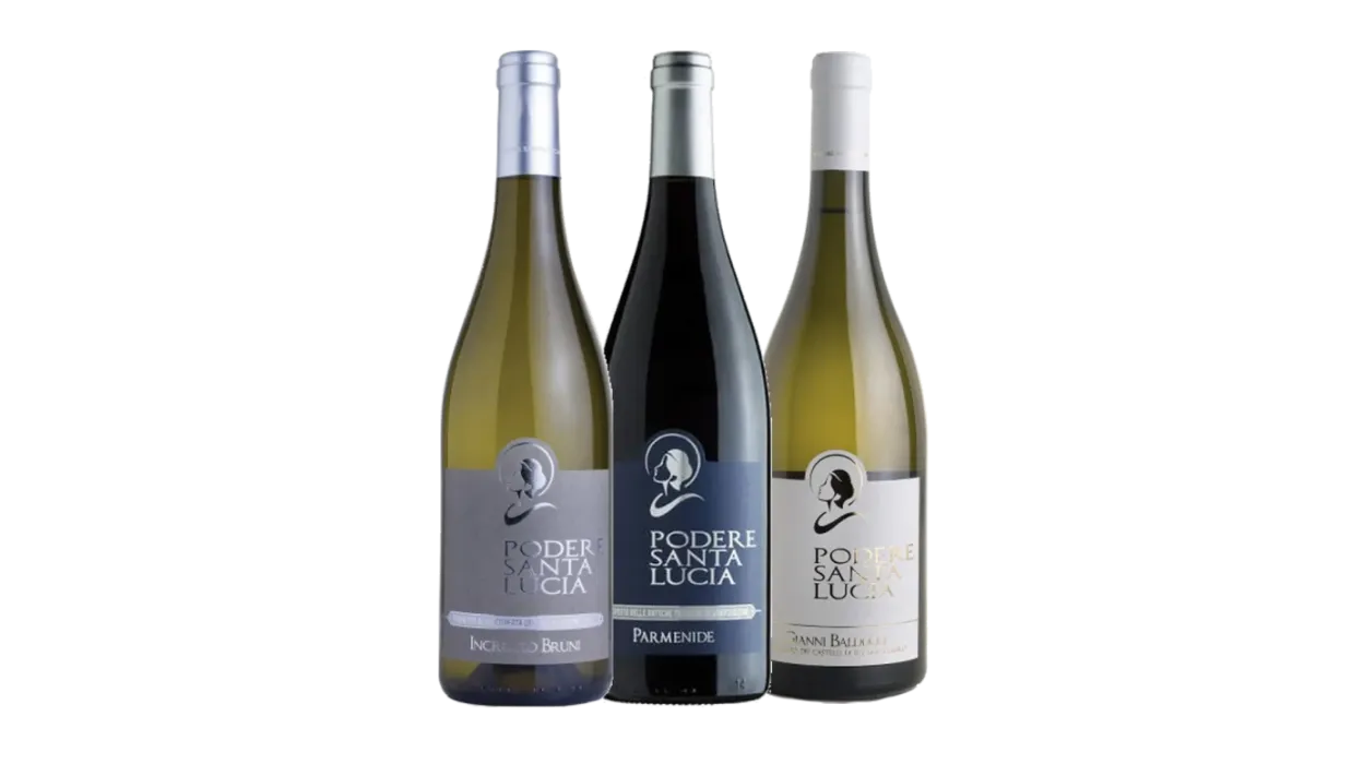 Vinæske med 3 flasker Podere Santa Lucia
