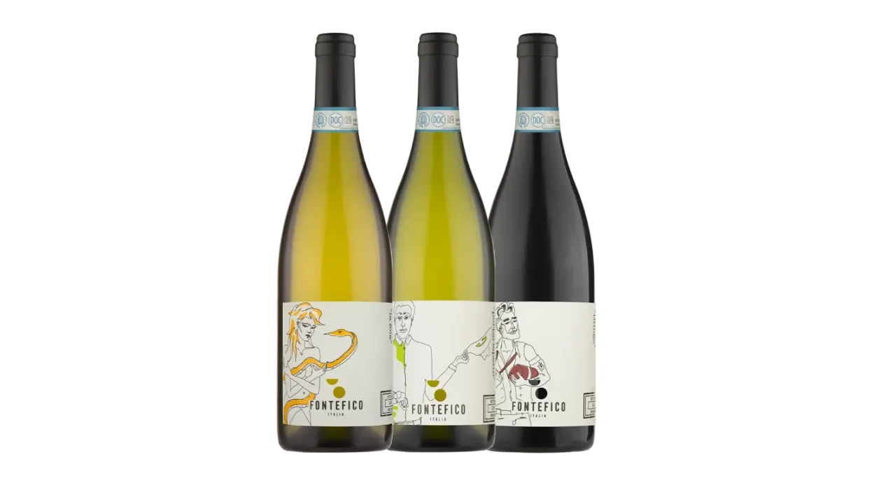 Vinæske med 3 flasker Fontefico