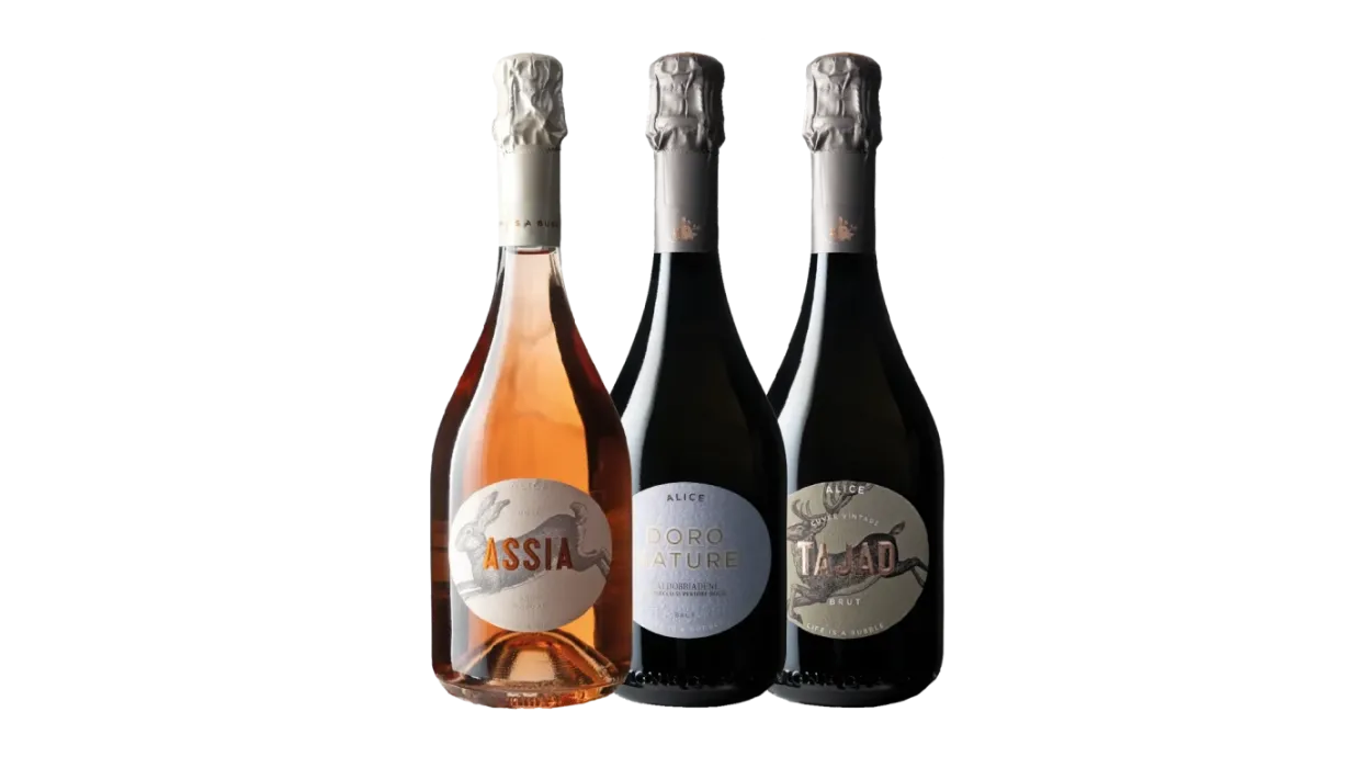 Vinæske med 3 flasker Le Vigne di Alice