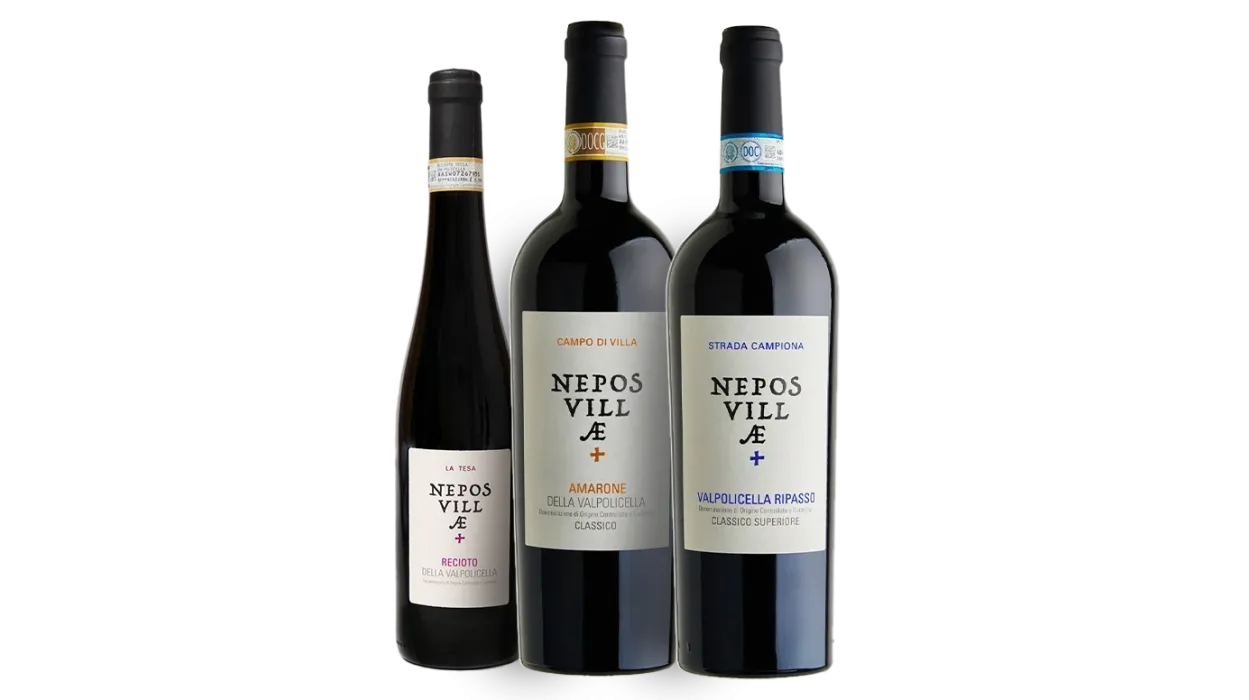 Three bottle pack “I classici Valpolicella”