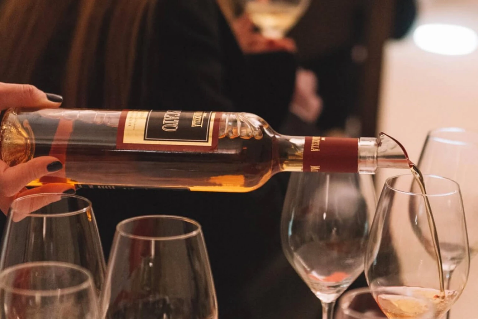 The Primitivo Route - Vinicola Cicella