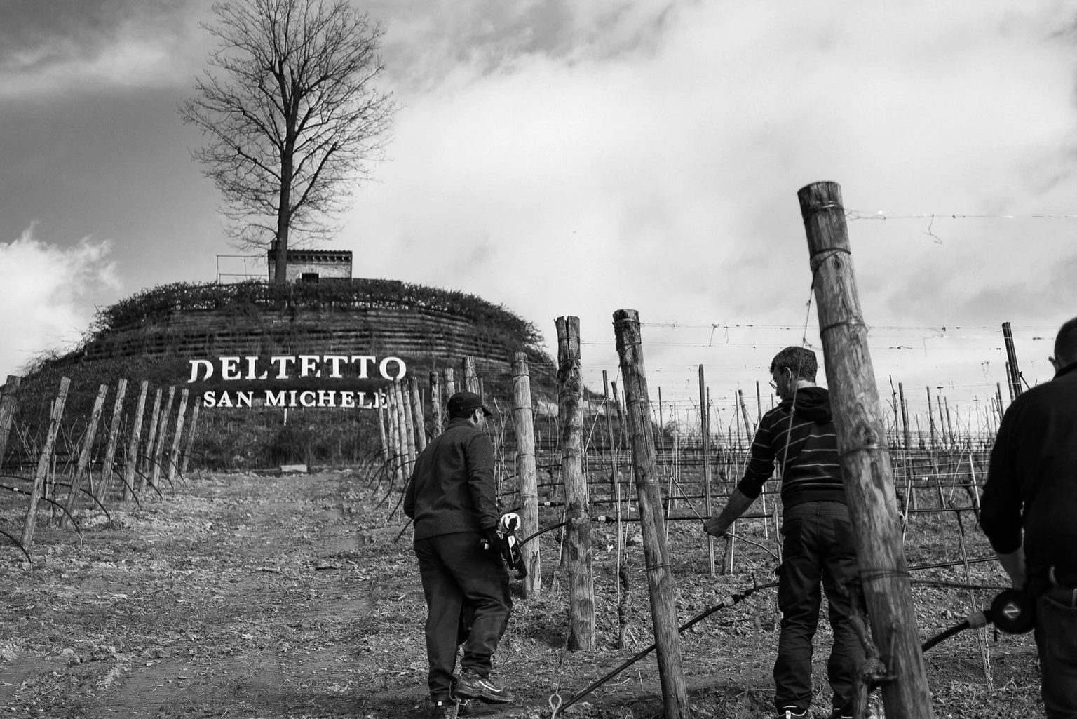 Between Roero and Langhe - Deltetto