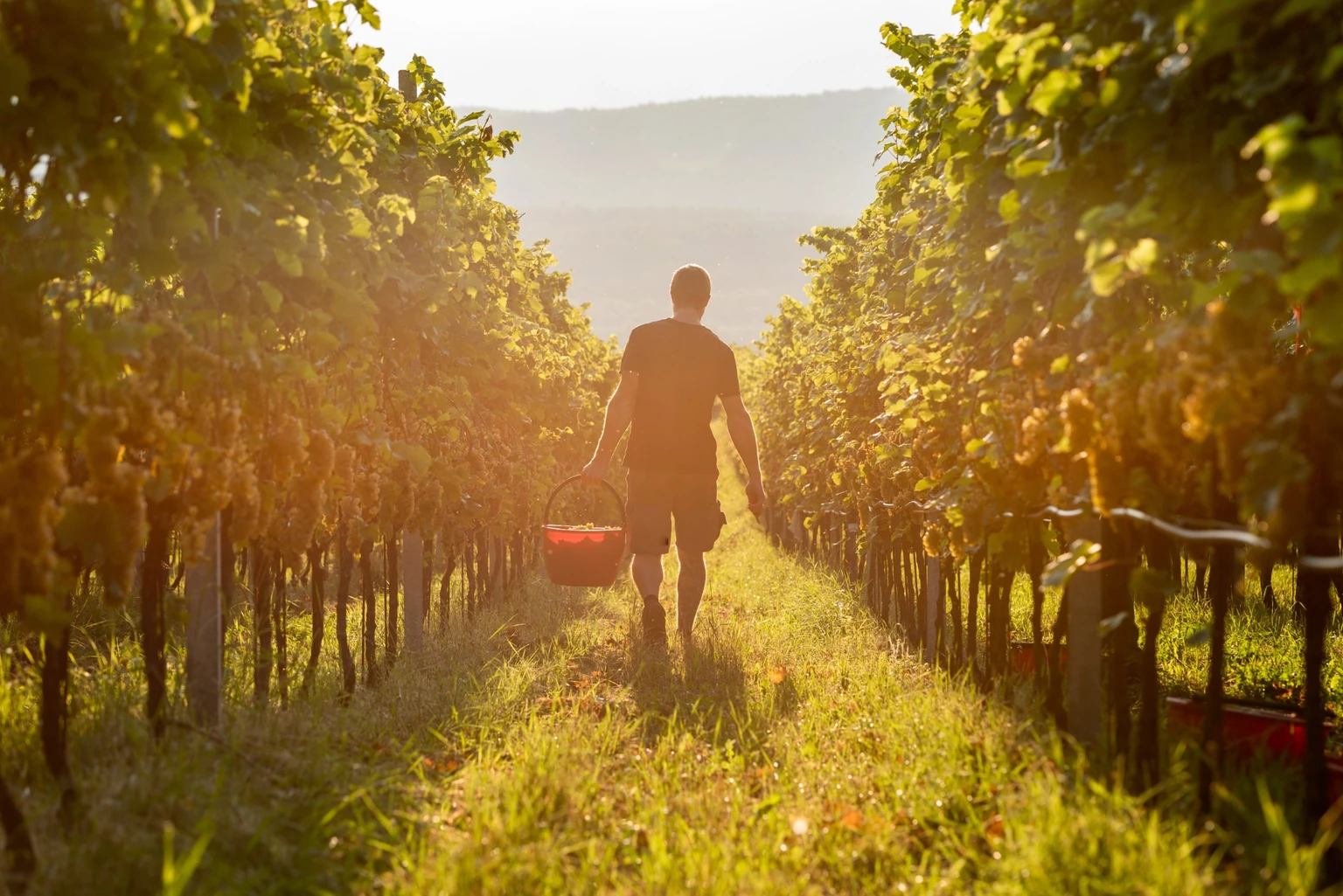 St. Quirinus tour & tasting - St. Quirinus