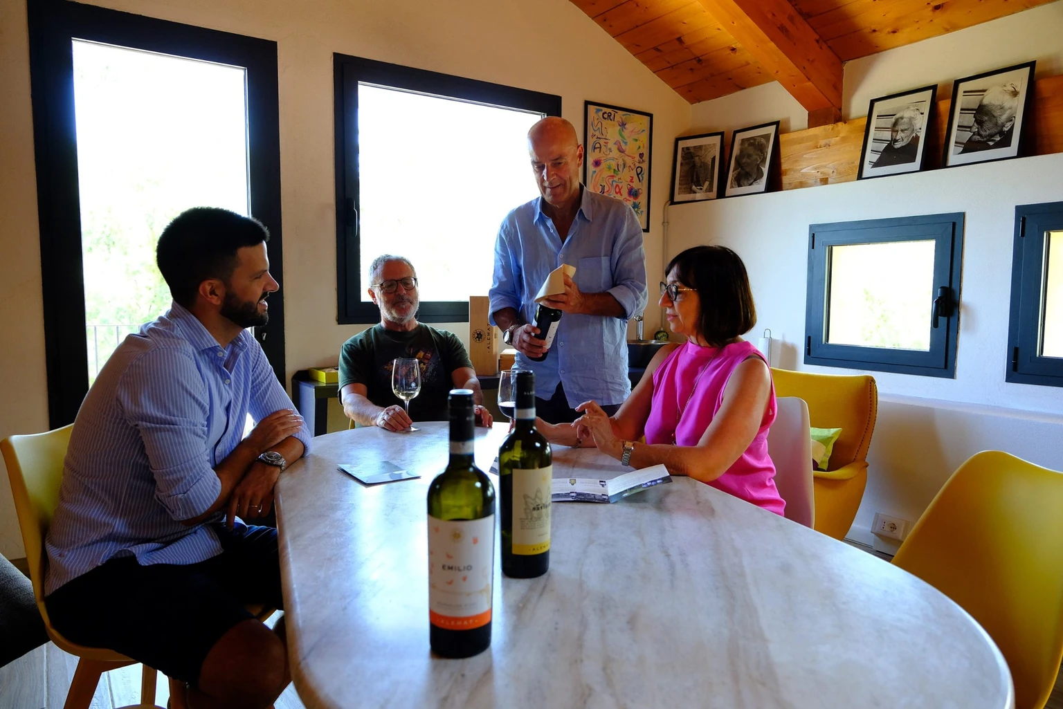 Premium tasting of four wines and a platter - Alemat