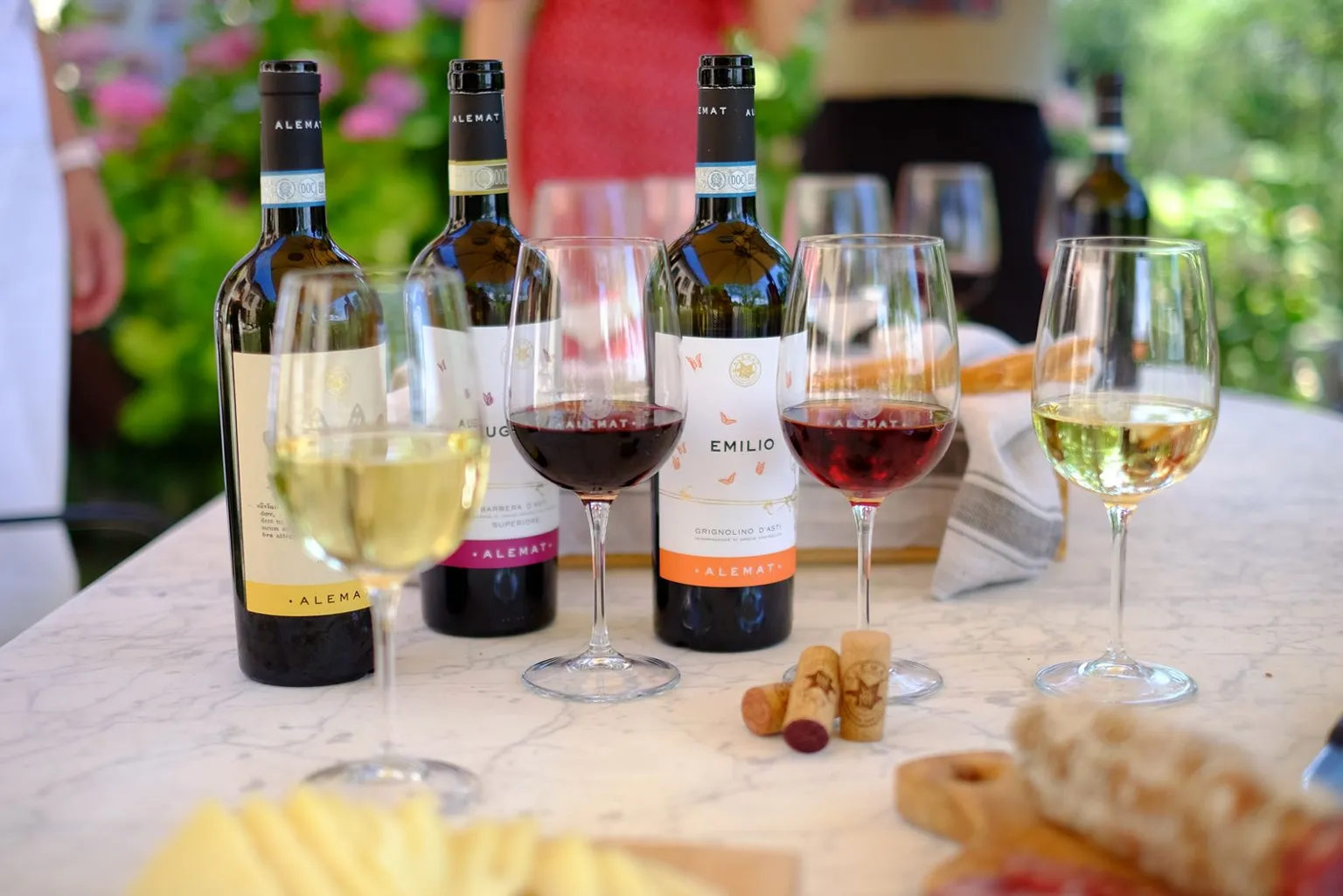 The winery's reserves - Alemat