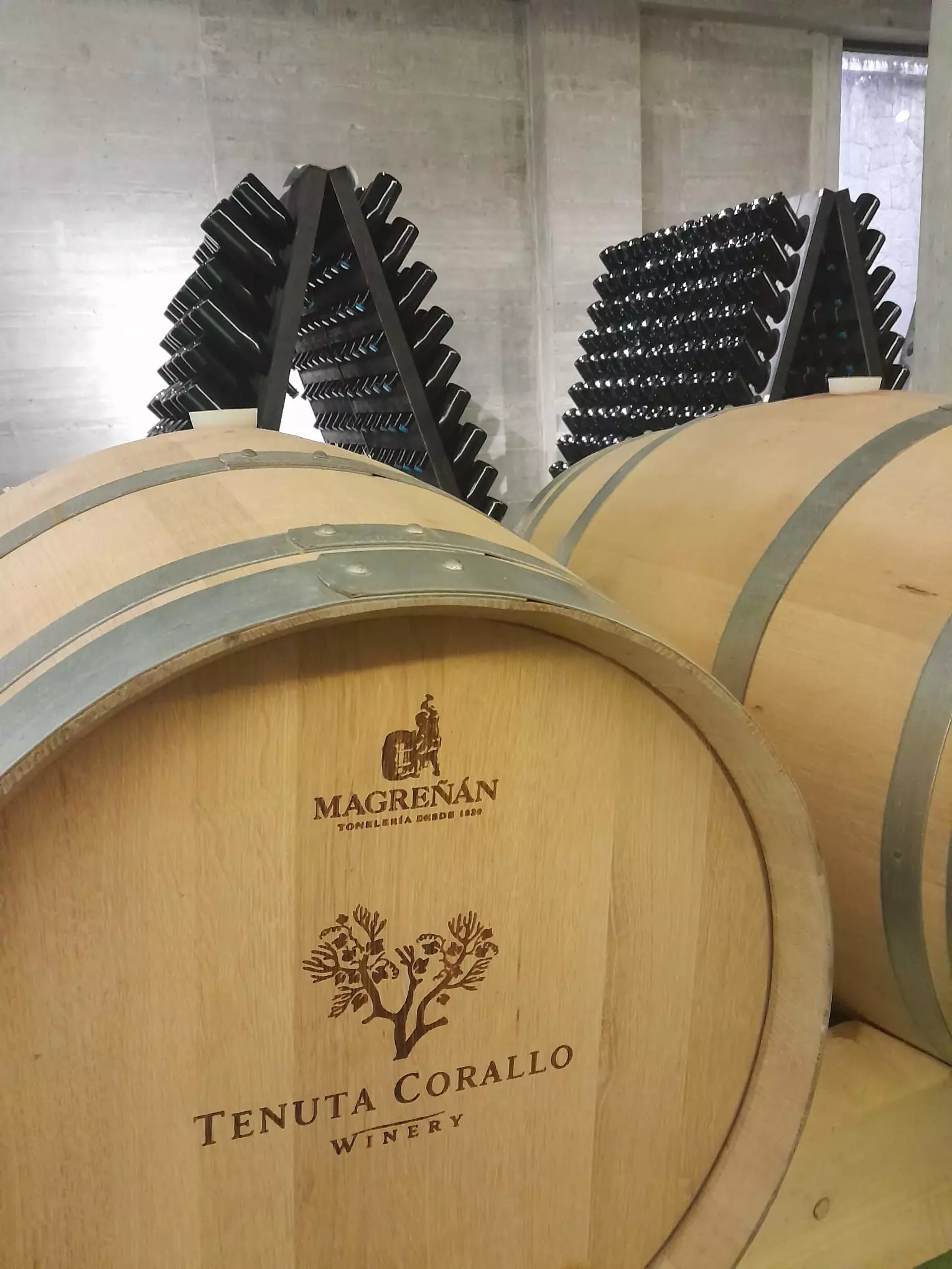 Classic tasting - Tenuta Corallo