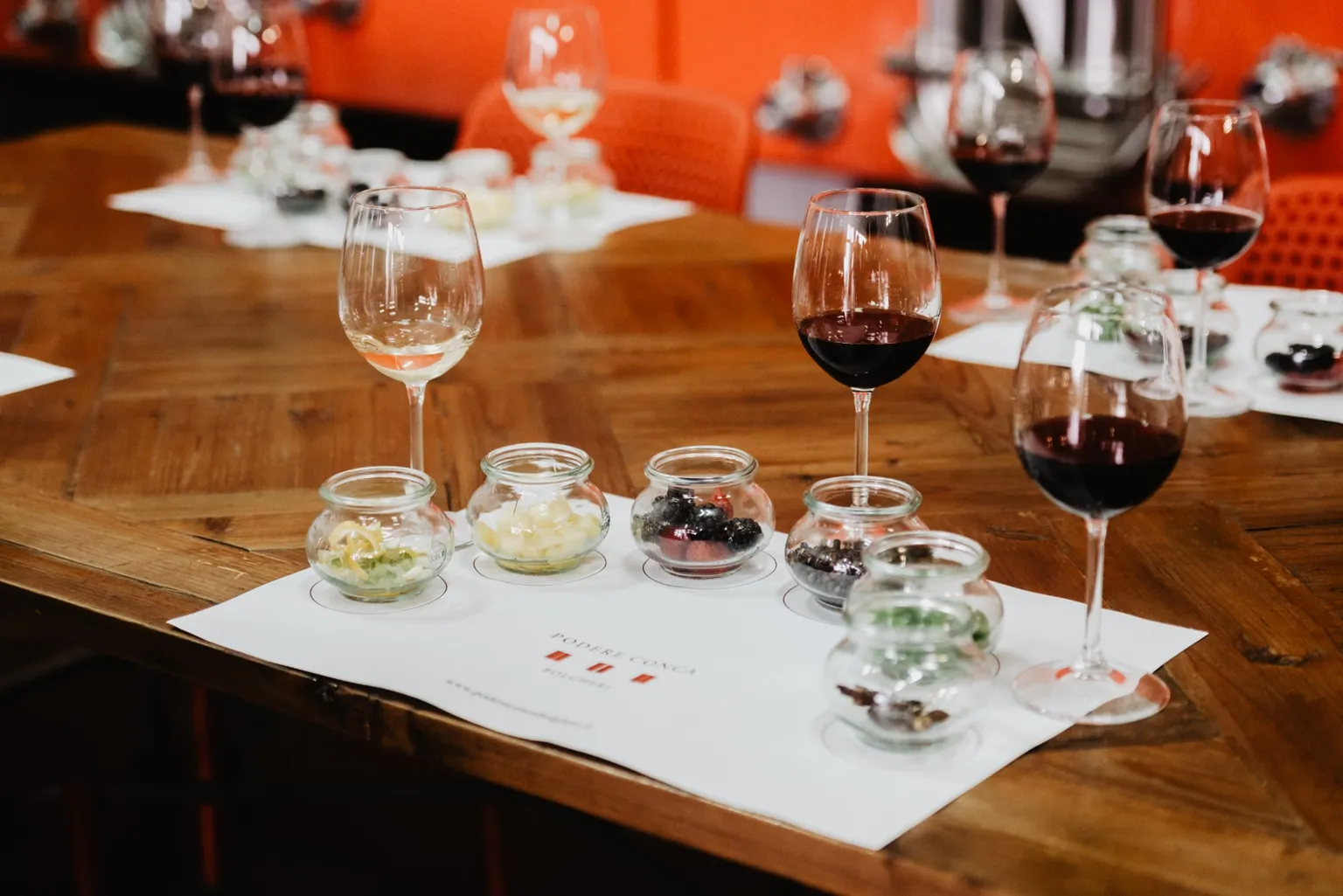 Visita al podere con degustazione sensoriale in cantina - Podere Conca