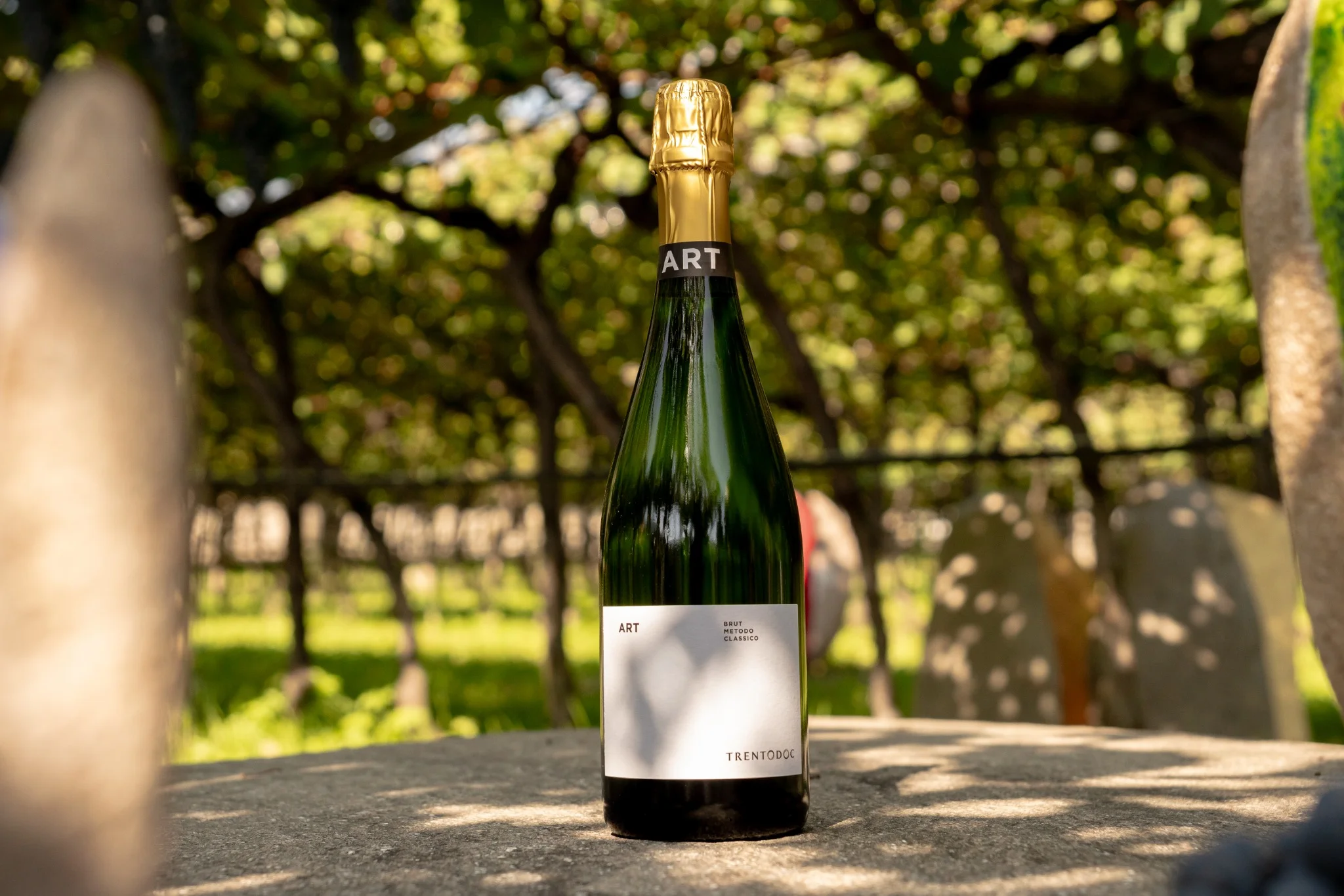 Wine & Art - De Vigili 