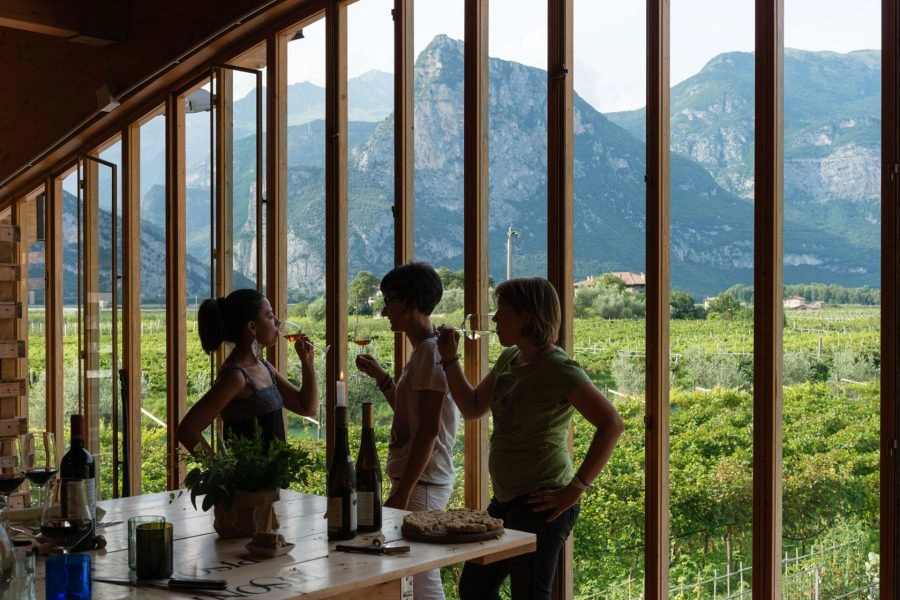 Premium Tasting - Pisoni