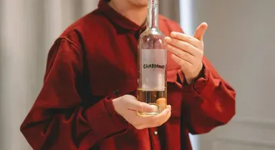 Chardonnay Drue & Chardonnay Wine – Guide og Købsmuligheder