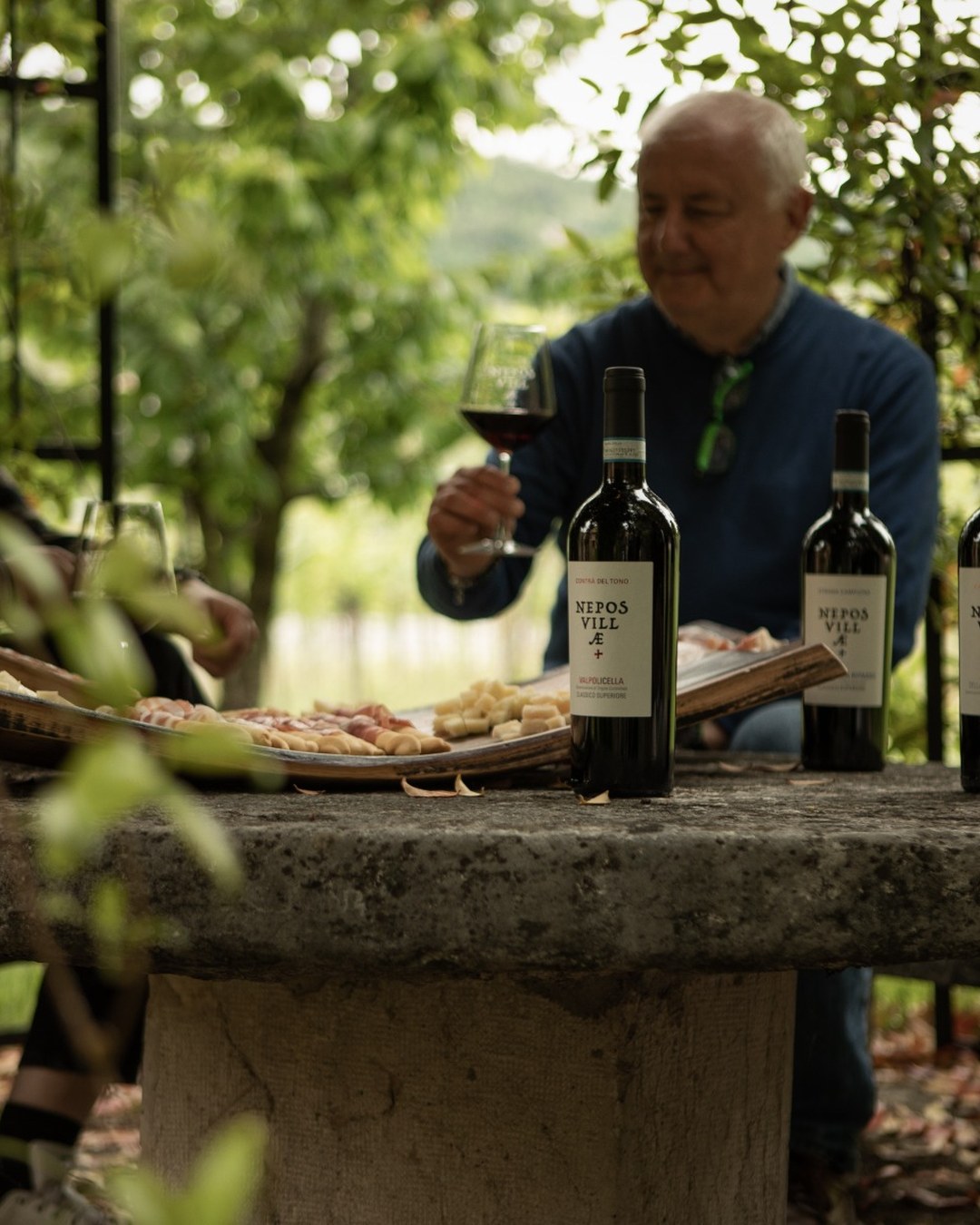 The Warm Colors of Autumn in Valpolicella