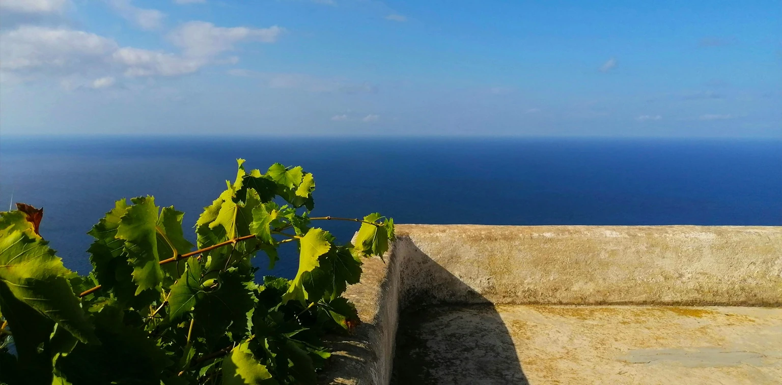 cesto-vino-rosso